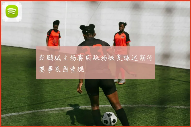 新鹏城主场赛前踩场恢复球迷期待赛事氛围重现